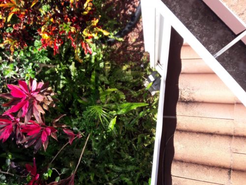 Gutter Cleaning Palm Beach