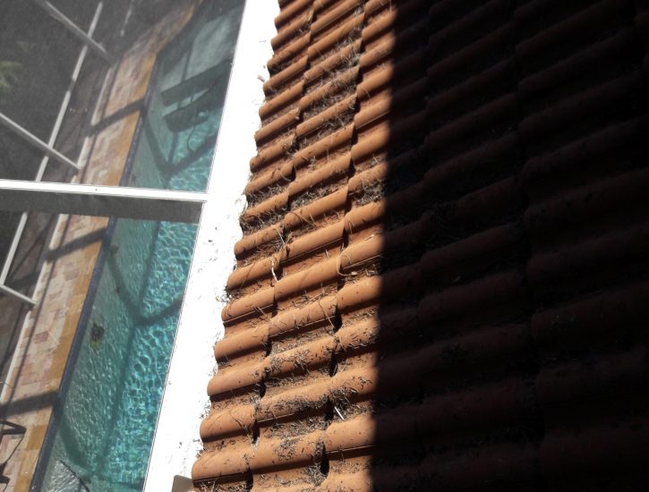 residential gutter cleaning