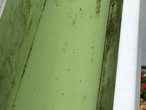 residential-gutter-cleaning