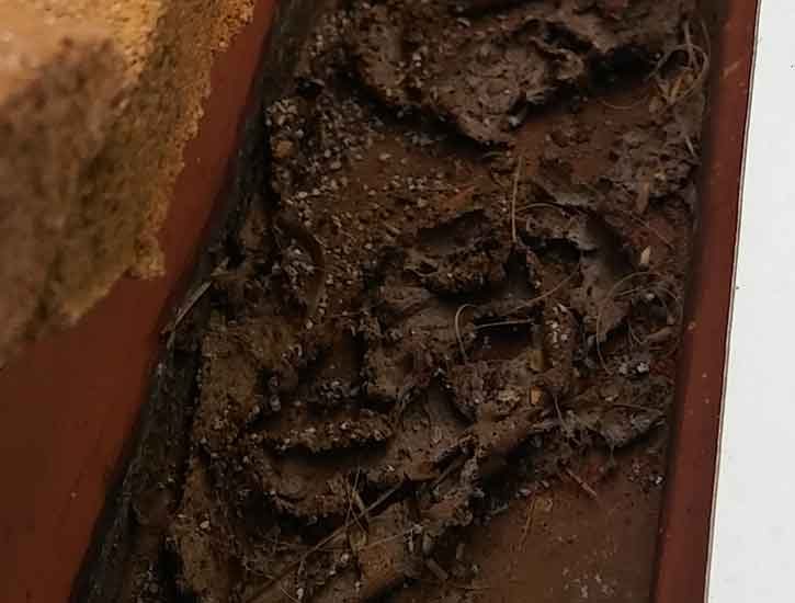 residential-gutter-cleaning