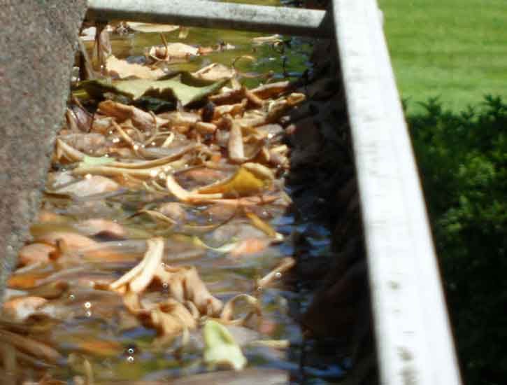 residential-gutter-cleaning