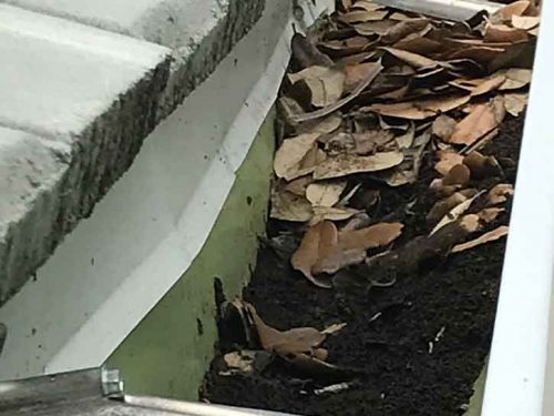 Gutter Cleaning Palm Beach