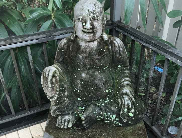 stone-pressure-washing-before